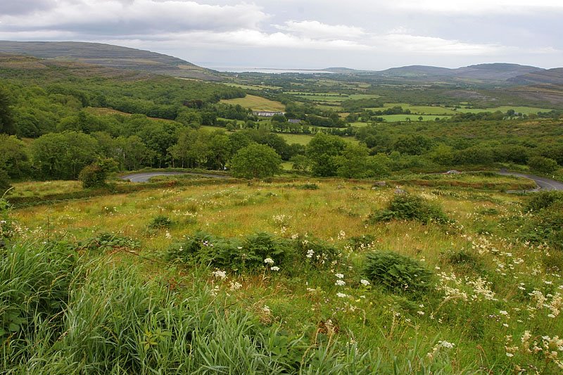 A view over The Burren