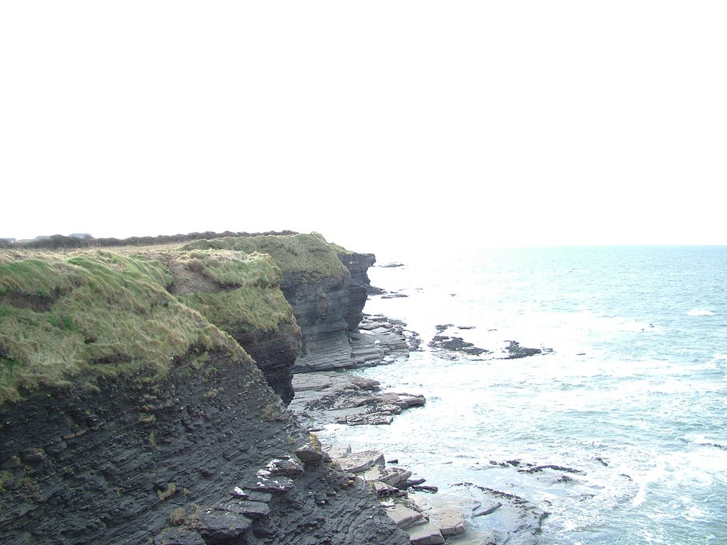 cliffs,mar.08