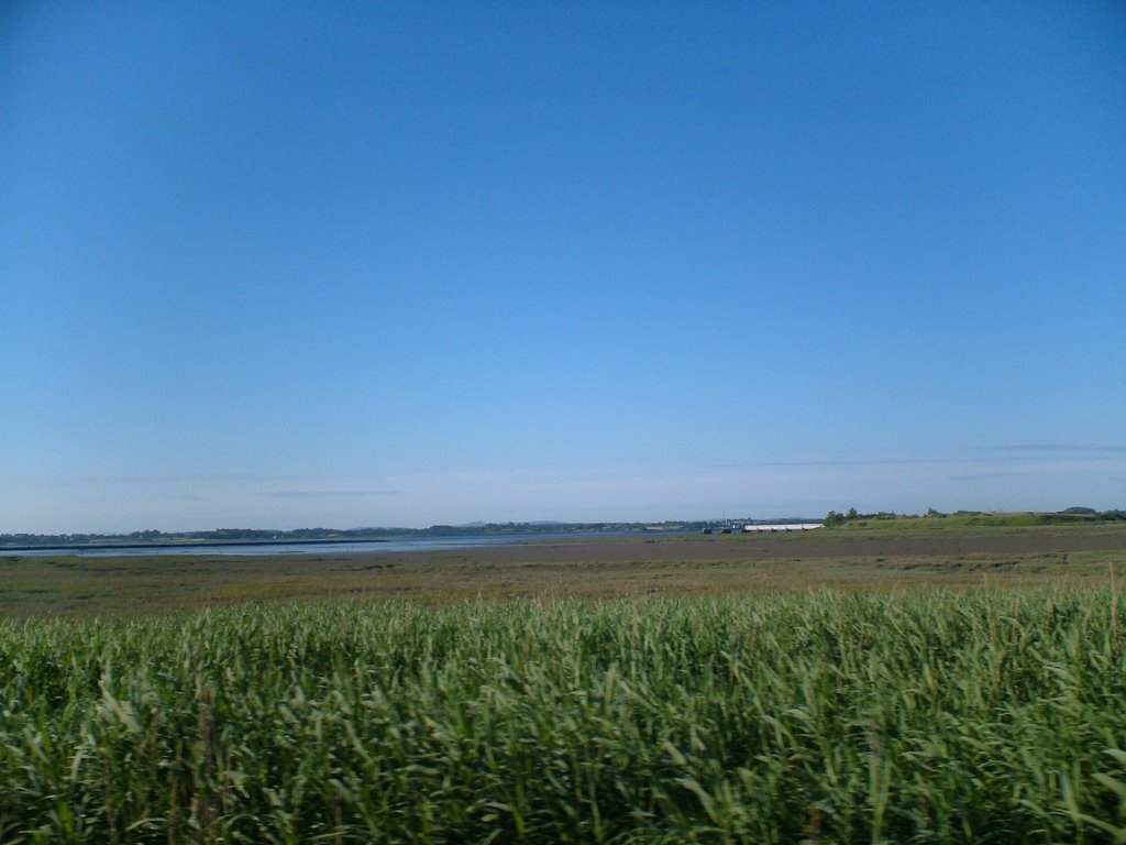 Shannon Estuary