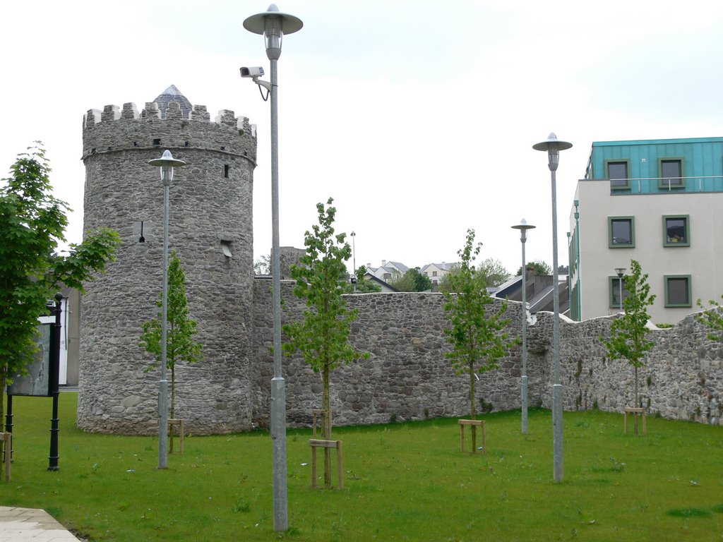 Waterford - Remparts (Ireland)