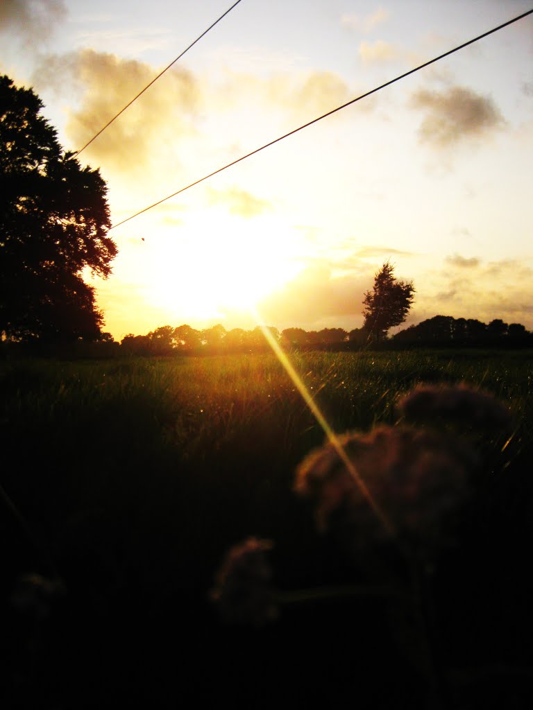 Sun Sets on the Farm in Shinrone