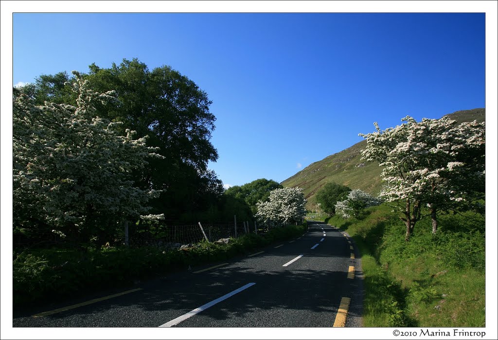 N59 close to Dooghill between Mallaranny and Clagganmountain, Ireland County Mayo