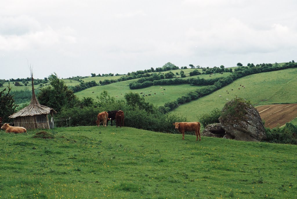 Cat Stone and Hut, Hill of Uisneach, Co. Westmeath, Ireland