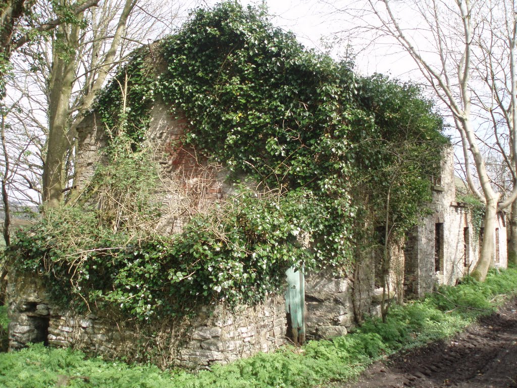 A bygone era - cottages in Imlick