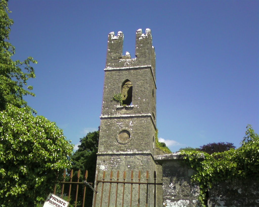 Old Church, Mayo Abbey, Co Mayo, Ireland.
