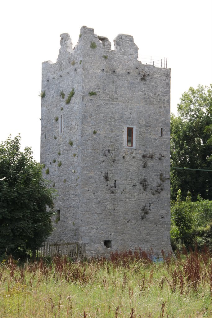 Castle, Ballintotis, Co. Cork, Ireland
