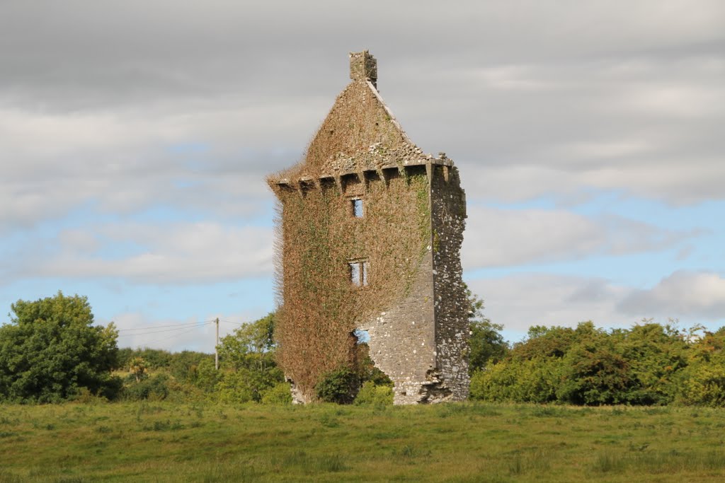 Castle, Lisgriffin, Co. Cork, Ireland