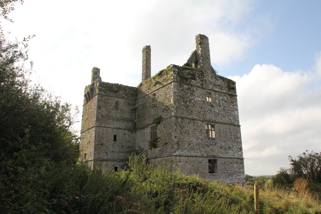 Fortified House, Ingtermurragh, Co. Cork, Ireland
