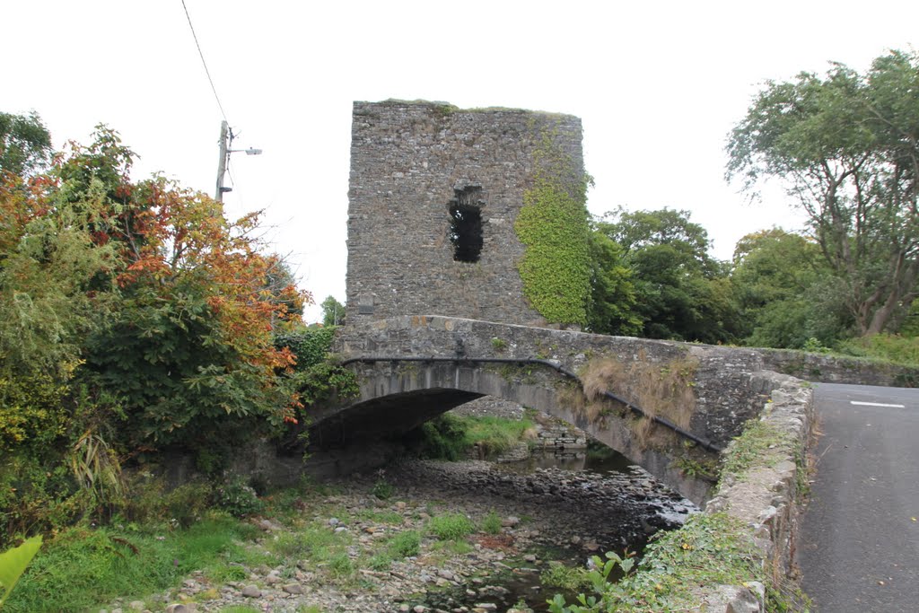 Castle, Glin, Co. Limerick, Ireland