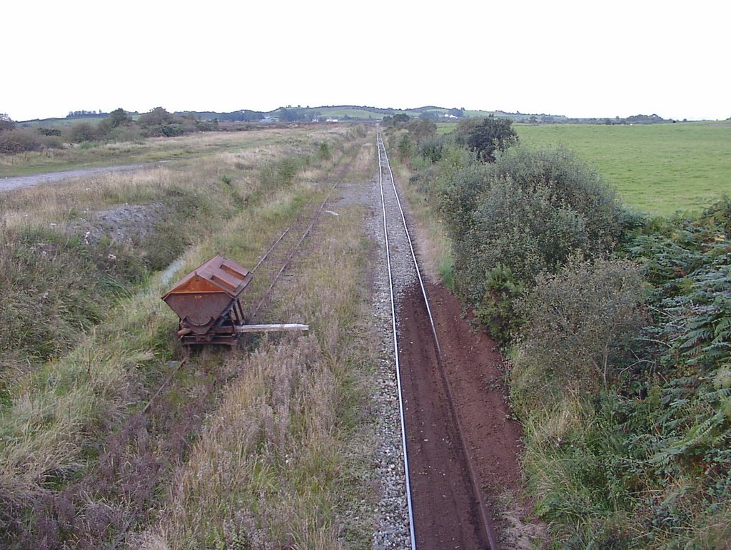 Tracks of the bog railroad