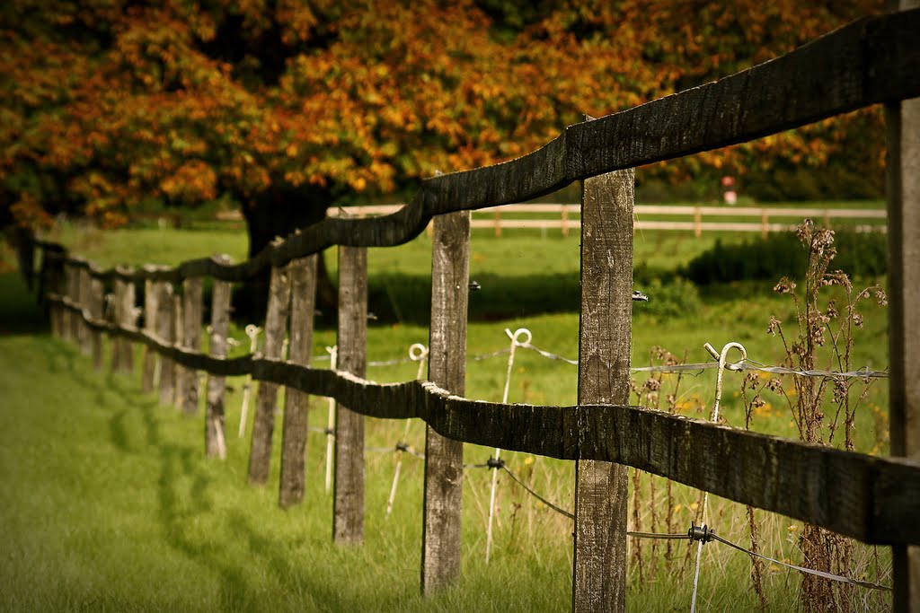 neverending fence