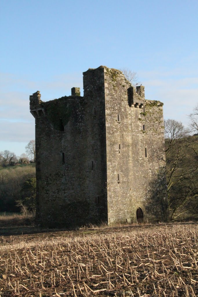 Castle, Crookstown, Co. Cork, Ireland