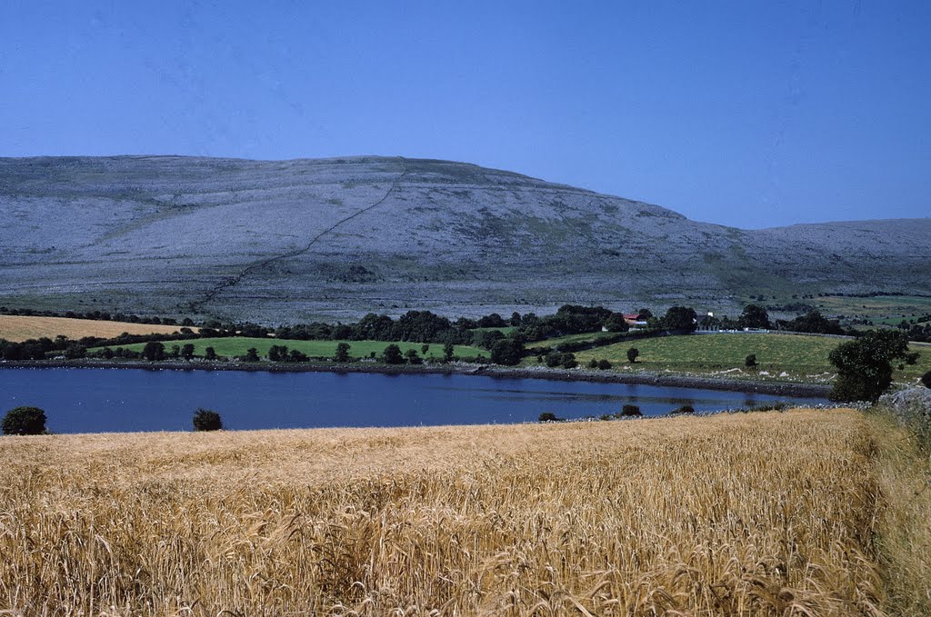 near Galway (1968)