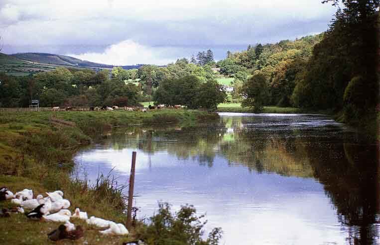 Inistioge - a beautiful place