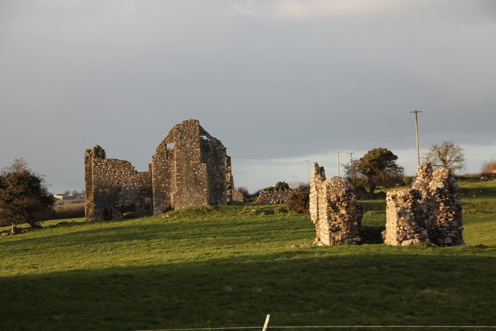 Ballyloughan Castley, Near Begenalstown, Co. Carlow, Ireland