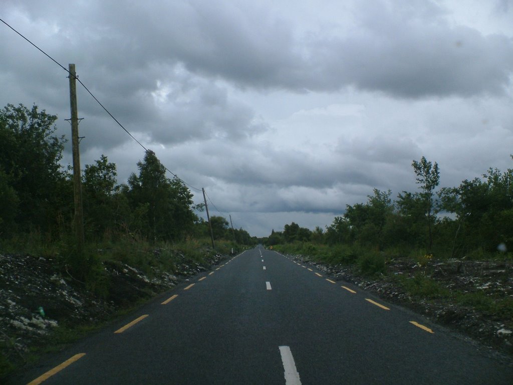 Bog road
