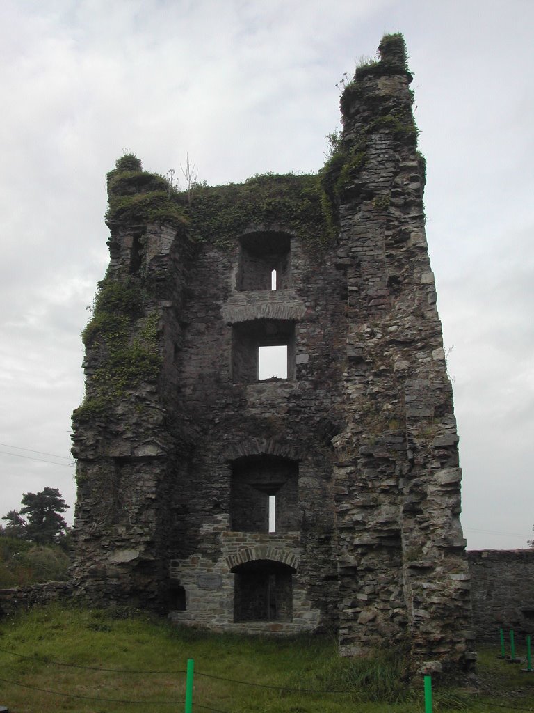 Carriganass Castle, 30.09.2007