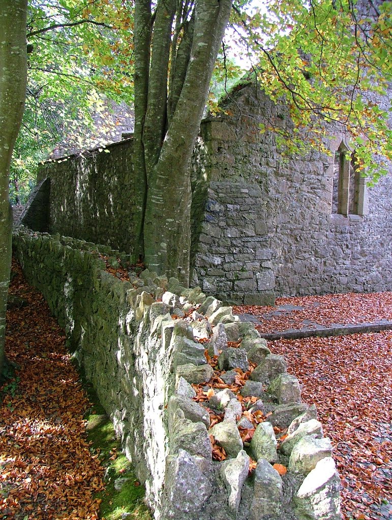  St Patrick Well: Medieval church