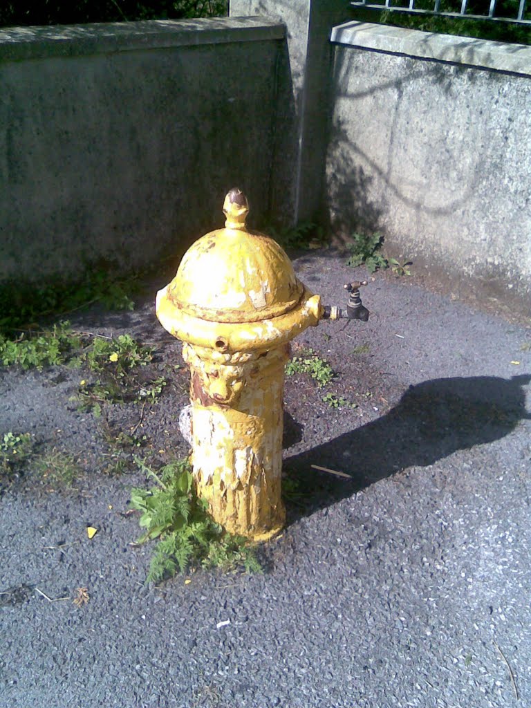 spring water pump in swanlinbar