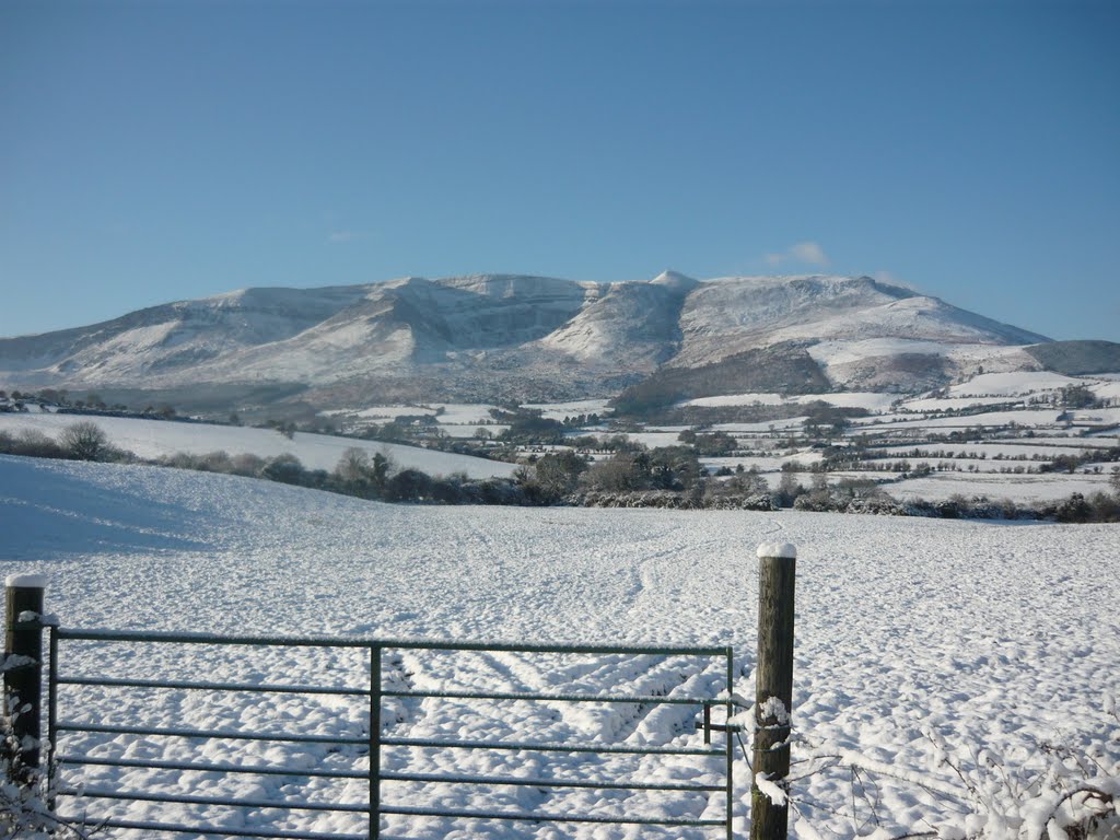Comeraghs in the snow