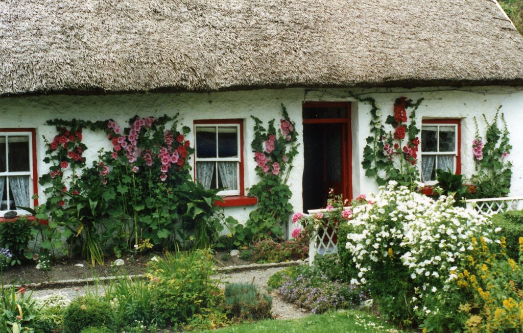 [Irlanda 1989 - Spiddle Co.Galway]