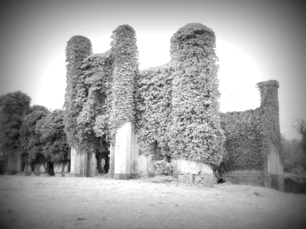 In Ruins, Inspired by Simon Marsden