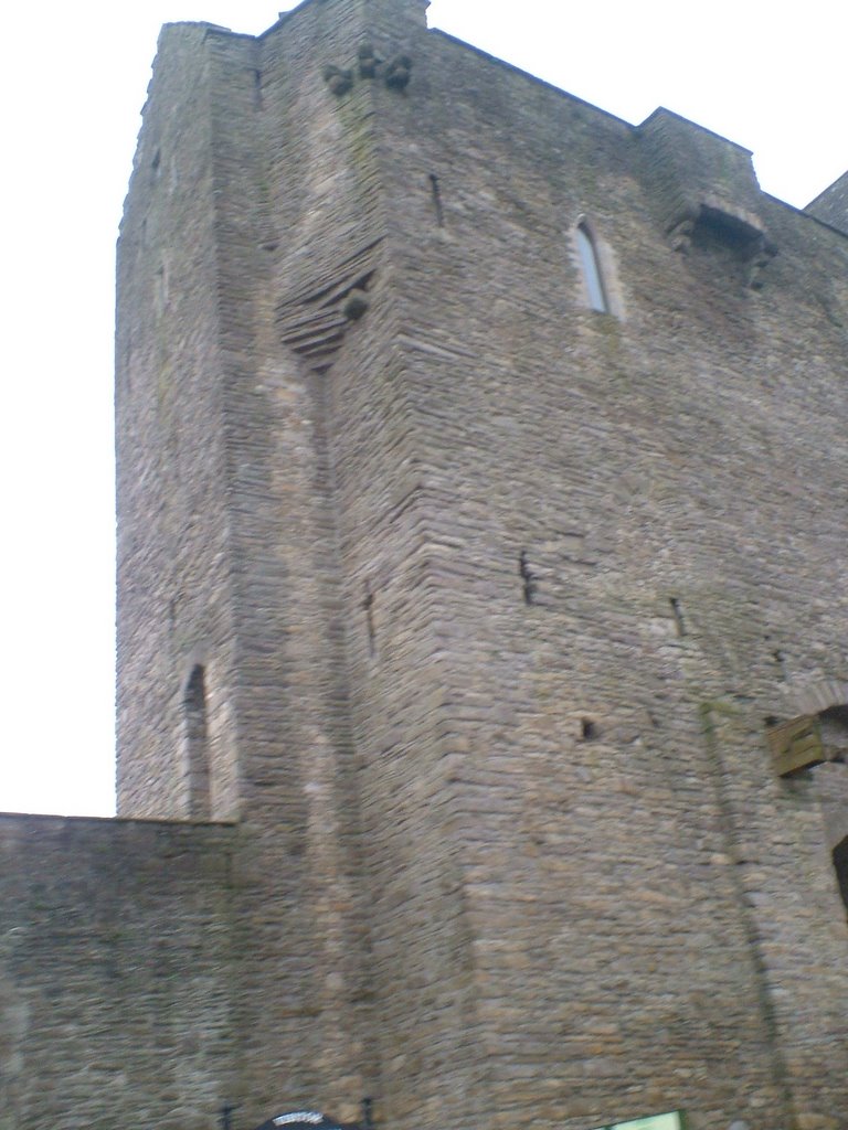 Roscrea Castle from 1281