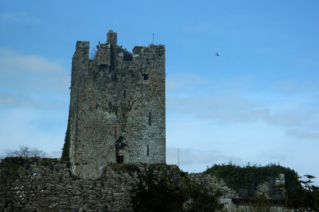 Ballyragget Castle