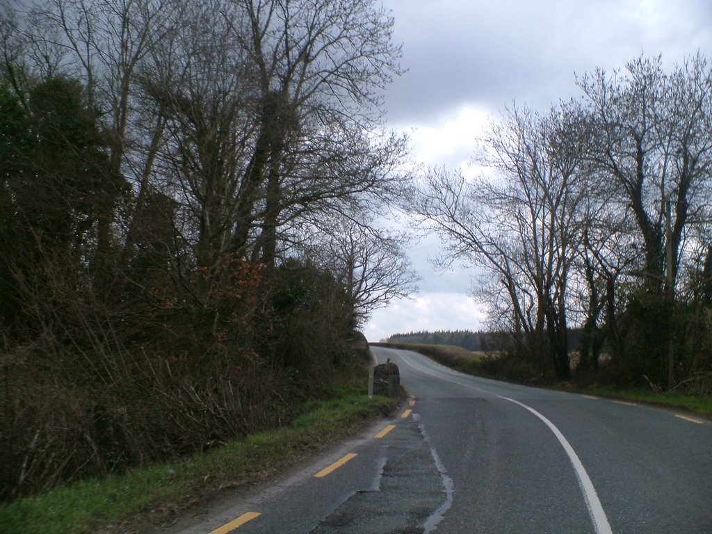 Laois - Kildare border