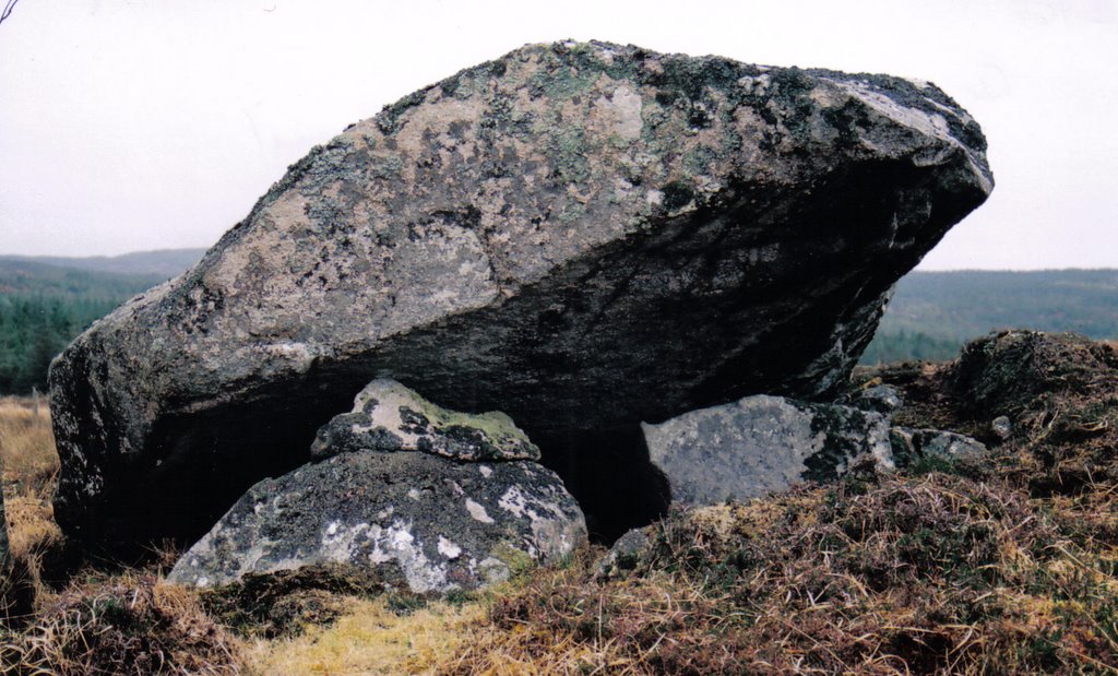Portal Dolmen near Doocharry Ireland