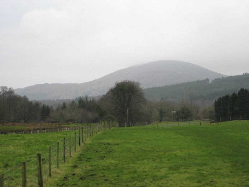 View of Benbo Mountain, Manorhamilton, Co. Leitrim