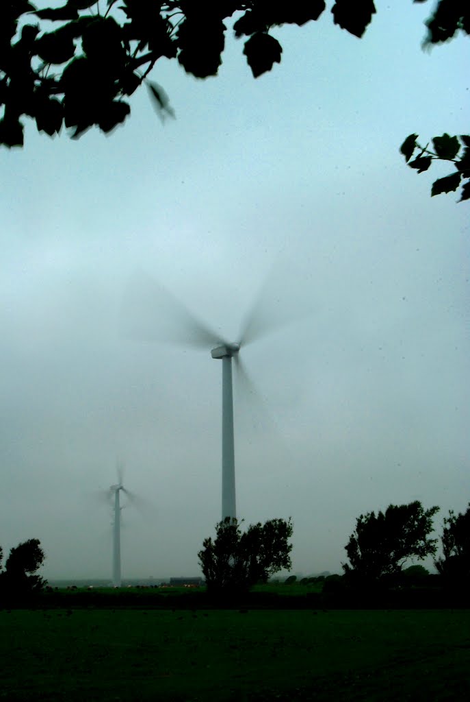 Windfarm in a gale.  (Richfield Windfarm, Ireland.)