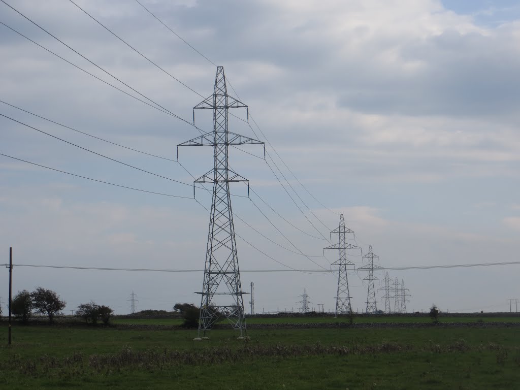 New Pylons in Cregmore